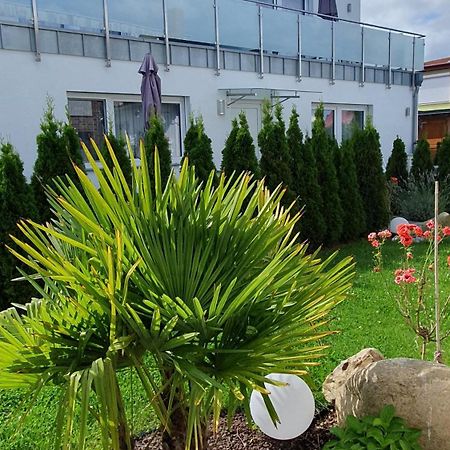 Ferienwohnungen "Godewind", Appartements Mit Balkon Oder Terrasse 奥斯特西巴德钦诺维茨 外观 照片