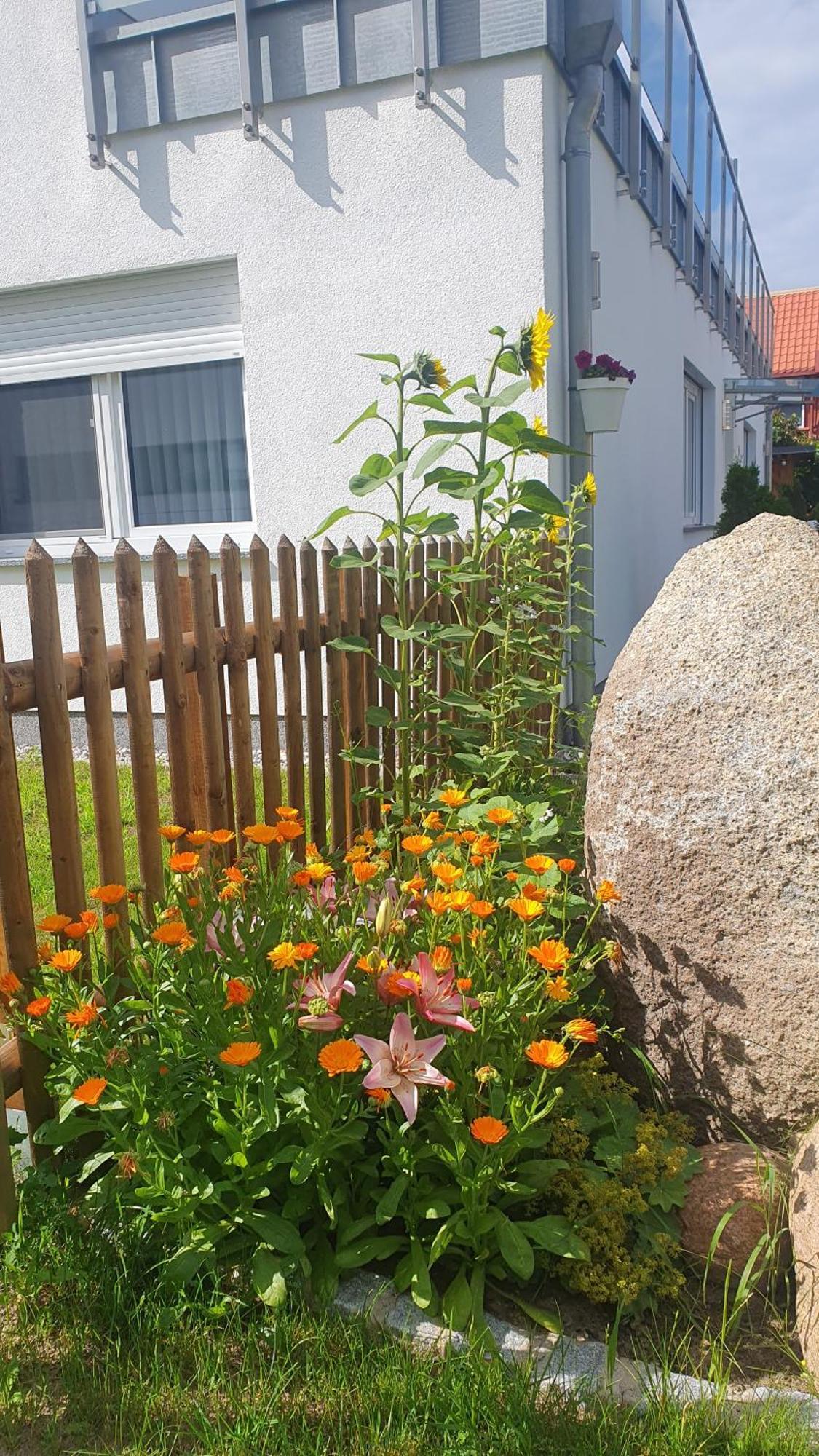 Ferienwohnungen "Godewind", Appartements Mit Balkon Oder Terrasse 奥斯特西巴德钦诺维茨 外观 照片