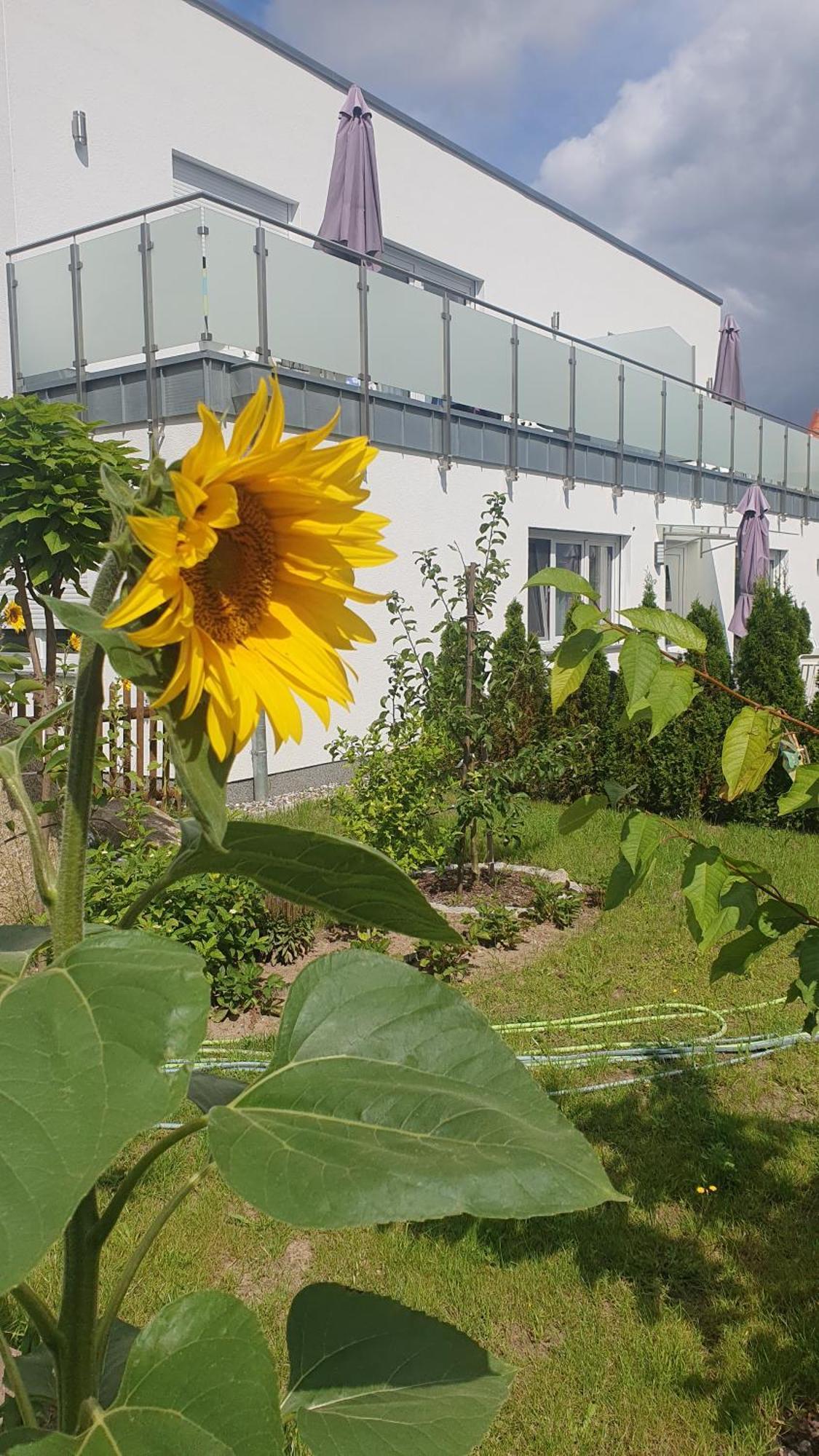 Ferienwohnungen "Godewind", Appartements Mit Balkon Oder Terrasse 奥斯特西巴德钦诺维茨 外观 照片